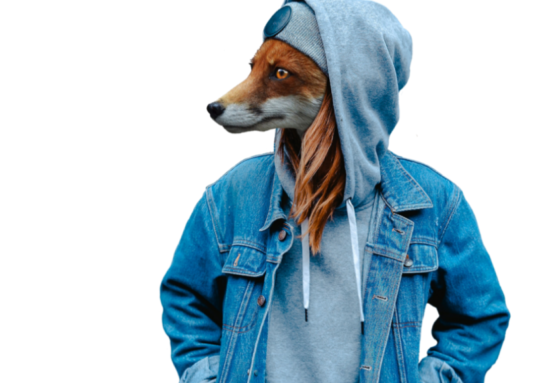 Ein Fuchs